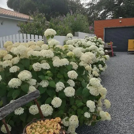 Appartement Cap à Cap *