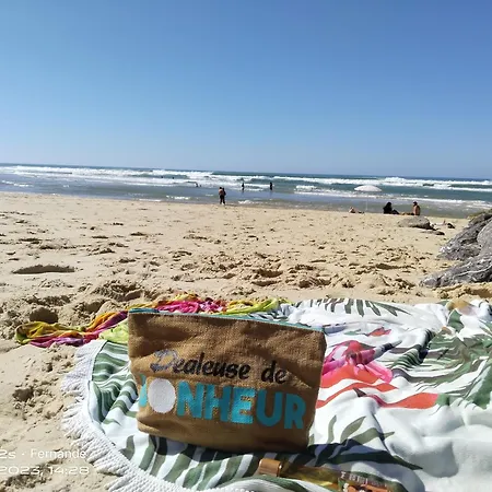 Cap A Cap Apartament